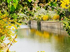 -海棠花溪(元大都城垣遗址公园)