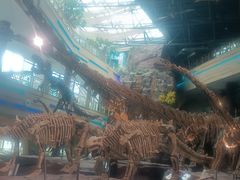 -安徽省地质博物馆