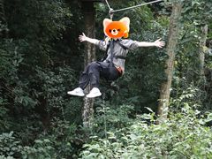 -西双版纳原始森林公园