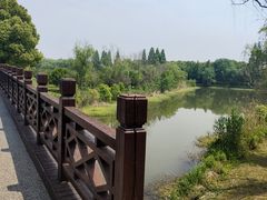 -南湖湿地公园