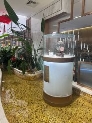 点击看大图 -菜百首饰店(总店)