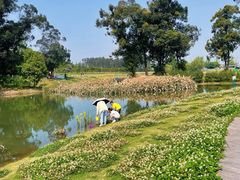 -两河城市森林公园