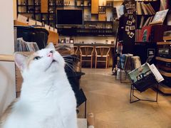 -黑胶星球(华发中城商都店)