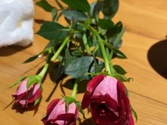 -渔寿司·日本料理(艾尚天地店)