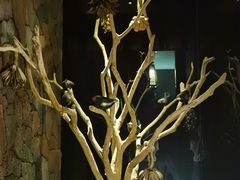 -心足私家足疗SPA(深圳湾店)