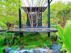 -深圳仙湖植物园