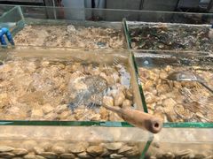 -养牛邓·潮汕牛肉海鲜自助火锅(广州店)