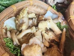 -滇野云南野生菌餐厅(陕西南路店)