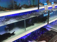 -盒马鲜生(大成店)