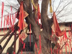 -西安汉城湖景区