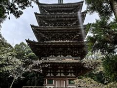 -醍醐寺