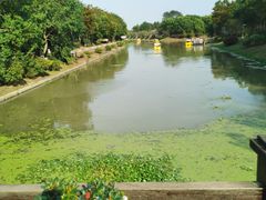 -上海海湾国家森林公园