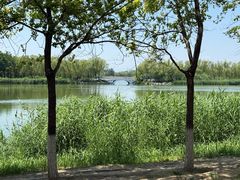 -大兴滨河森林公园