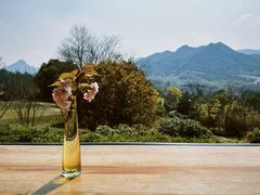 -浙江安吉JW万豪酒店