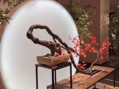 -六朝博物馆