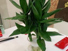 -红菜坊·烤鸭·川鲁宴(石园店)