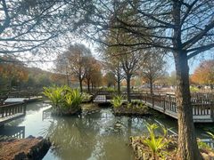 -五缘湾湿地公园