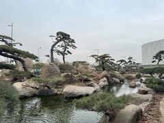 -罗红摄影艺术馆