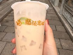 -猫的魔法密林(衣裳街店)