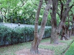 -上海宋庆龄故居纪念馆