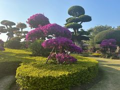 -南宁南湖公园