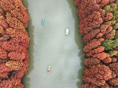 -上海海湾国家森林公园