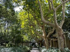 -徐家汇源景区-衡山公园