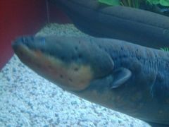 -水上乐园·欢乐世界