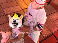 -小象猛犸(炫地购物中心店)