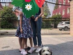 -爱侣宠医·鹦鹉专科·小型哺乳类·异宠专科(灵石路店)