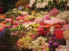 -朝来春花卉市场