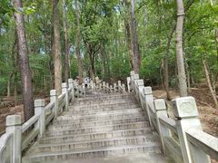 -灵岩山风景区