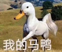 -北舞星空舞蹈