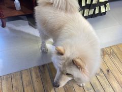 -肆兮眼镜·蔡司·徕卡战略合作店(大坪店)