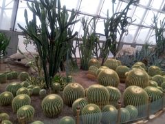 -北京植物园-展览温室