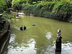 -棕榈岛&雅苑海鲜自助餐厅(虹桥迎宾馆店)