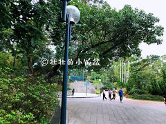 -九龙公园