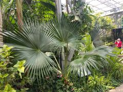 -北京植物园-展览温室