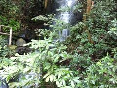 iphone_upload_pic-九溪烟树