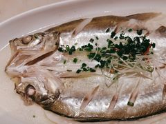 太湖白条-新梅华餐厅(星悦汇店)