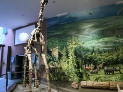 -陕西自然博物馆