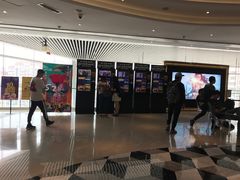 -百丽宫影城(CGS激光苏宁广场店)