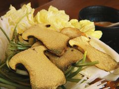 -陀岗美食·云南藏式特色餐厅