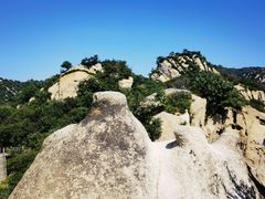 -大岭沟猕猴桃谷风景区