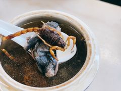 蝎子党参乌鸡汤-国英炖品店(甲子路店)