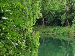 -贵阳市花溪国家城市湿地公园