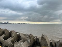-上海滨江森林公园