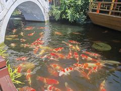 -香麒园·过桥米线·南湖雅宴