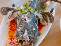 -七鲜渔港美食餐厅(巽寮湾海景店)