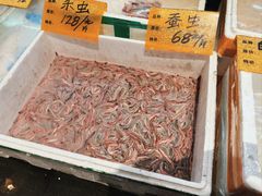 -大门水乡·顺德菜